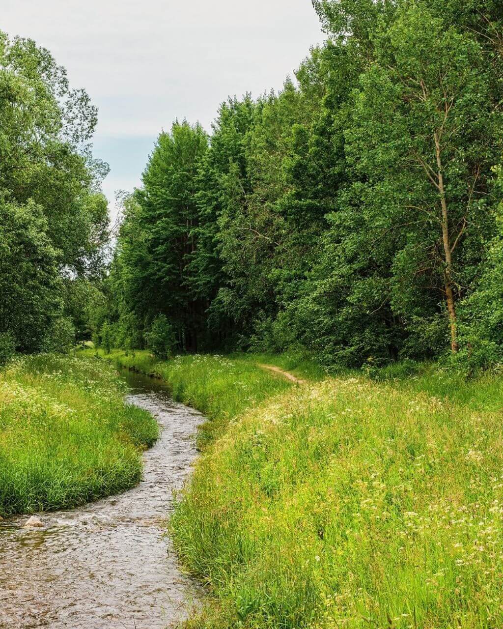 Activiteiten in de Biesbosch